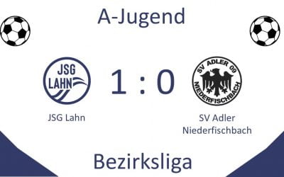 Adler bringen 3 Punkte zum Königstein